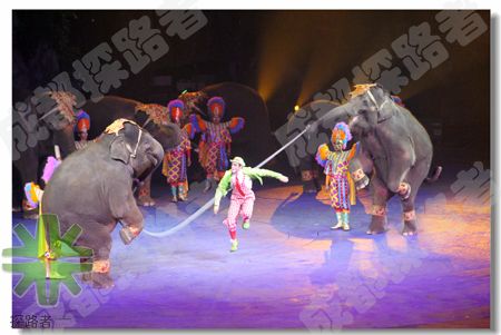 探路者冬令營(yíng)