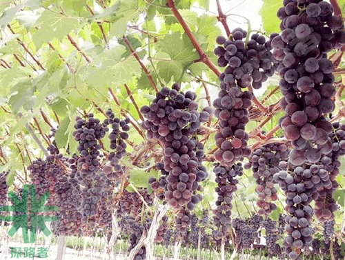 成都探路者拓展培訓