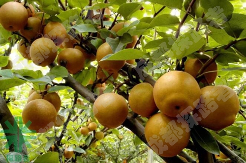 成都探路者拓展培訓