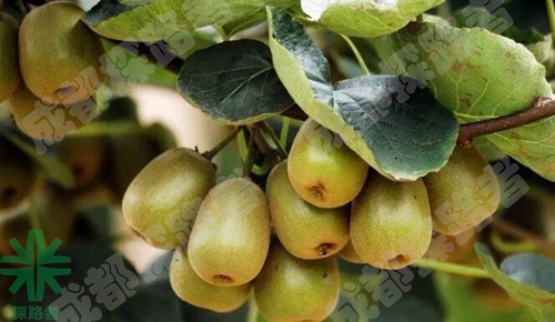 成都探路者拓展培訓