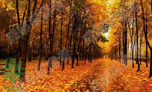 成都探路者拓展培訓