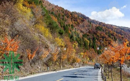 成都探路者拓展培訓