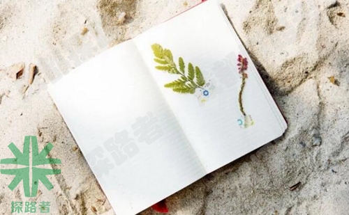 成都探路者拓展培訓