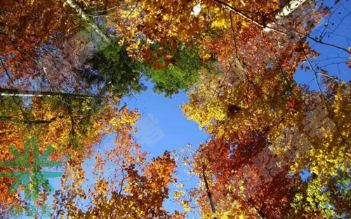 成都探路者拓展培訓