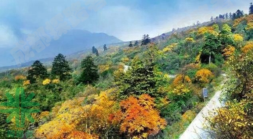 成都探路者拓展培訓