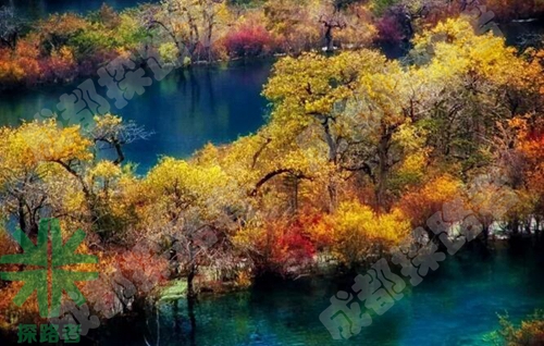 成都探路者拓展培訓