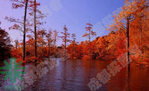 成都探路者拓展培訓