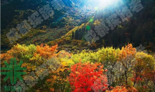 成都探路者拓展培訓