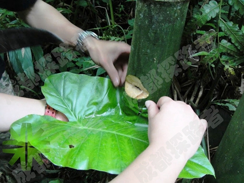 探路者拓展夏令營