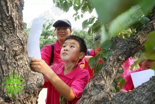 成都探路者夏令營