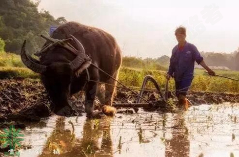 成都探路者拓展