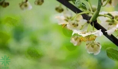 成都探路者拓展訓(xùn)練