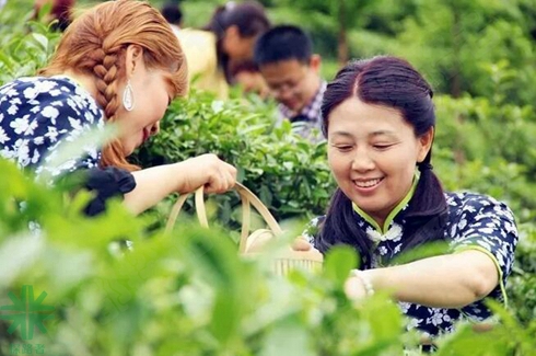 成都探路者拓展訓(xùn)練