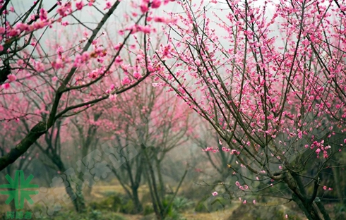 成都探路者拓展培訓