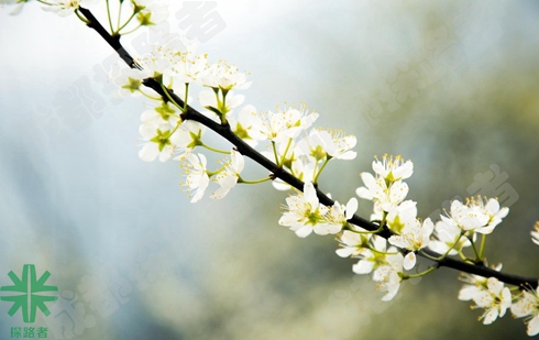 成都探路者拓展培訓