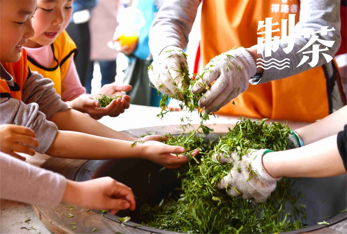 制茶.jpg