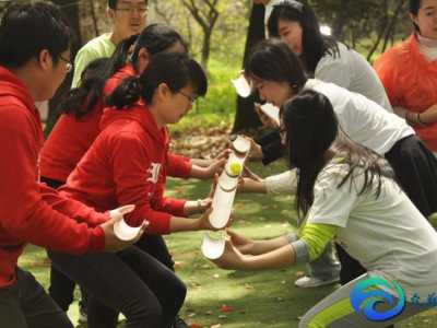 大學(xué)生素質(zhì)拓展總結(jié)800字