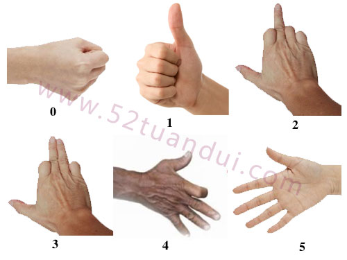 教你喝酒劃拳怎么玩以及劃拳技巧