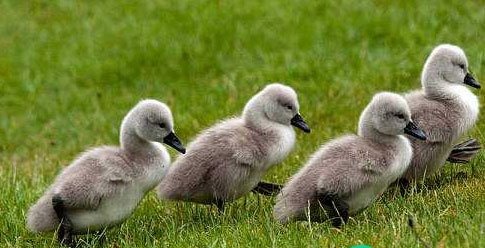 你比我猜搞笑題目大全