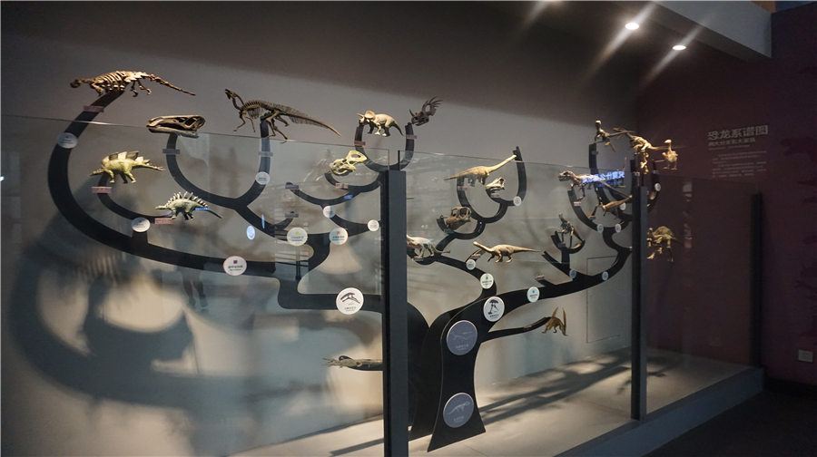 重慶自然博物館（新館）介紹 開放時間地址電話信息