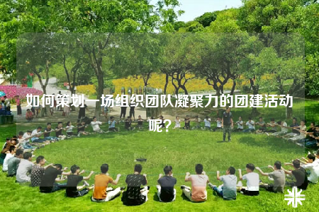 如何策劃一場組織團(tuán)隊(duì)凝聚力的團(tuán)建活動(dòng)呢？