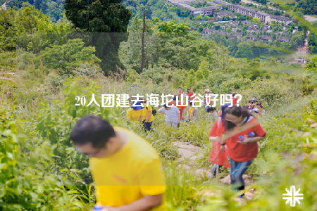 20人團(tuán)建去海坨山谷好嗎？