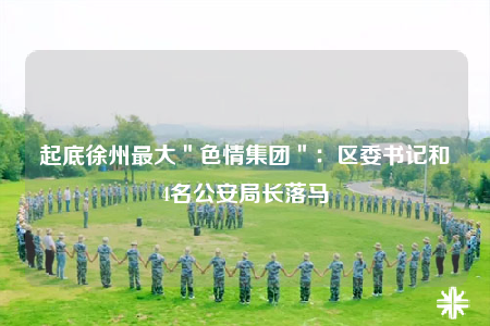 起底徐州最大＂色情集團(tuán)＂：區(qū)委書記和4名公安局長落馬