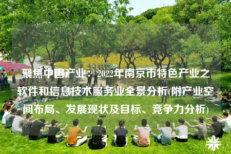 聚焦中國產(chǎn)業(yè)：2022年南京市特色產(chǎn)業(yè)之軟件和信息技術(shù)服務(wù)業(yè)全景分析(附產(chǎn)業(yè)空間布局、發(fā)展現(xiàn)狀及目標(biāo)、競爭力分析)