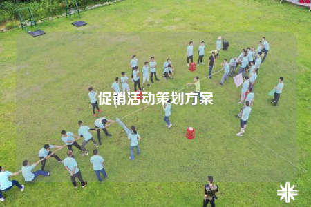 促銷活動(dòng)策劃方案
