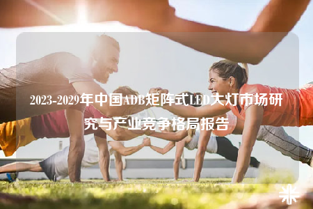 2023-2029年中國ADB矩陣式LED大燈市場研究與產(chǎn)業(yè)競爭格局報(bào)告