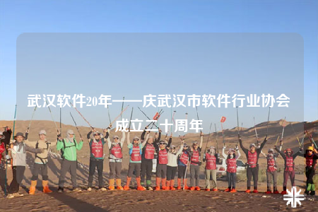 武漢軟件20年——慶武漢市軟件行業(yè)協(xié)會成立二十周年