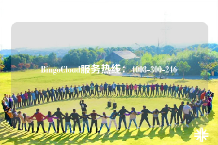 BingoCloud服務(wù)熱線：4008-300-246
