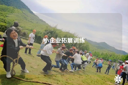小企業(yè)拓展訓(xùn)練
