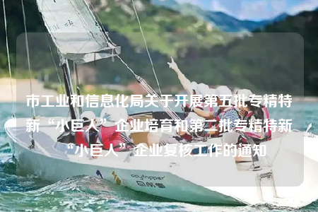 市工業(yè)和信息化局關(guān)于開展第五批專精特新“小巨人”企業(yè)培育和第二批專精特新“小巨人”企業(yè)復(fù)核工作的通知