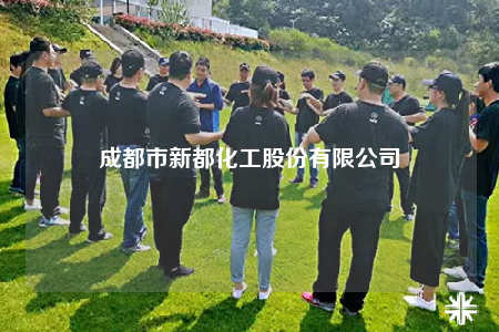 成都市新都化工股份有限公司
