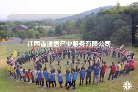 江西省通信產(chǎn)業(yè)服務(wù)有限公司