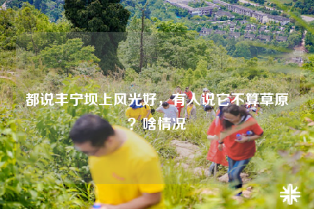 都說豐寧壩上風(fēng)光好，有人說它不算草原？啥情況