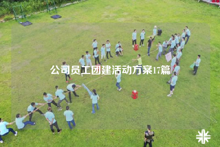 公司員工團(tuán)建活動(dòng)方案17篇