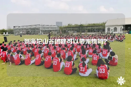 到海坨山谷團建可以帶寵物嗎？