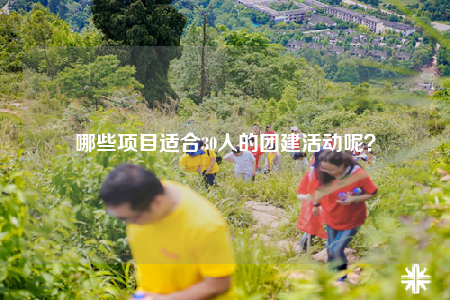 哪些項(xiàng)目適合30人的團(tuán)建活動(dòng)呢？