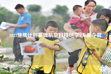 2023雛鷹計劃基礎(chǔ)航空科技研學(xué)5天夏令營