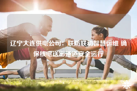 遼寧大連供電公司：聯(lián)防聯(lián)動(dòng)智慧運(yùn)維 確保核電送出通道安全運(yùn)行