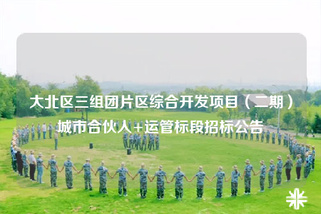 大北區(qū)三組團(tuán)片區(qū)綜合開發(fā)項(xiàng)目（二期）城市合伙人+運(yùn)管標(biāo)段招標(biāo)公告