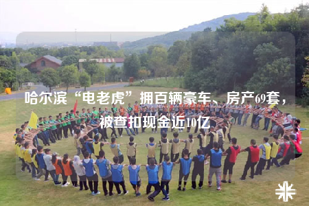 哈爾濱“電老虎”擁百輛豪車、房產(chǎn)69套，被查扣現(xiàn)金近10億