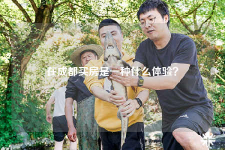 在成都買房是一種什么體驗？
