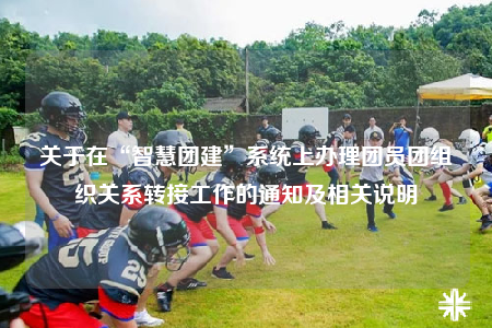 關(guān)于在“智慧團(tuán)建”系統(tǒng)上辦理團(tuán)員團(tuán)組織關(guān)系轉(zhuǎn)接工作的通知及相關(guān)說(shuō)明