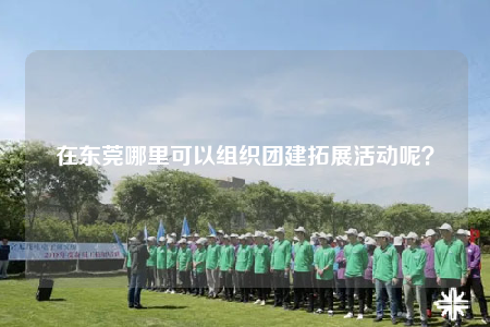 在東莞哪里可以組織團(tuán)建拓展活動(dòng)呢？