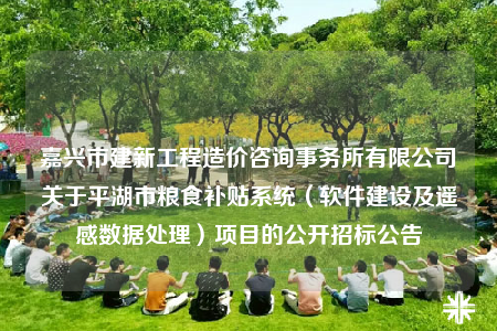 嘉興市建新工程造價(jià)咨詢事務(wù)所有限公司關(guān)于平湖市糧食補(bǔ)貼系統(tǒng)（軟件建設(shè)及遙感數(shù)據(jù)處理）項(xiàng)目的公開招標(biāo)公告