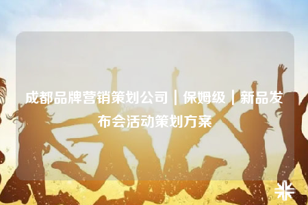 成都品牌營銷策劃公司｜保姆級｜新品發(fā)布會活動策劃方案