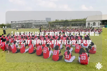 【幼犬可以吃成犬糧嗎】幼犬吃成犬糧會怎么樣 狗狗什么時候可以吃成犬糧